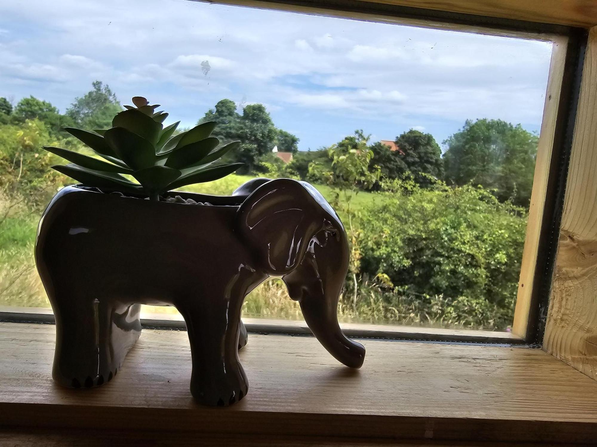 Restored Circus Wagon Holiday home